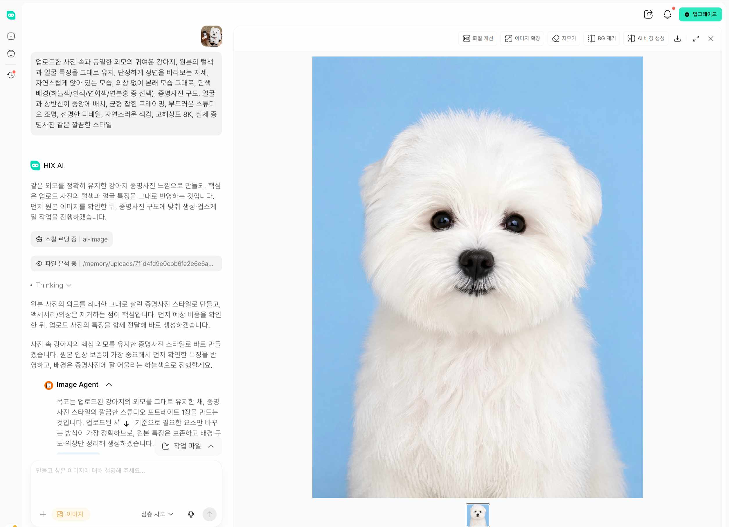 단 1분 만에 고화질 강아지 증명사진이 생성되어 완성된 결과를 확인하는 화면